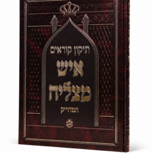 תיקון איש מצליח בינוני