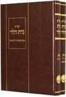 שות בית הלוי