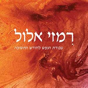 רמזי אלול - אייל ורד