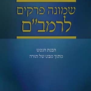 שמונה פרקים - הרב בלייכר
