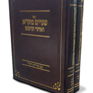 שניים מקרא ותרגום