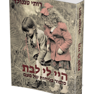 היי-לי-לבת-הדמיה