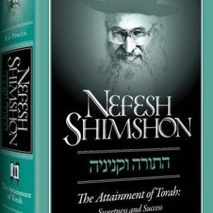 Nefesh Shimshon: The Attainment of Torah