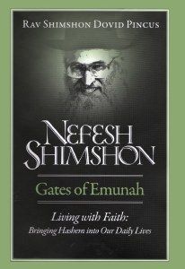 NEFESH SHIMSHON LIVING WITH FAITH