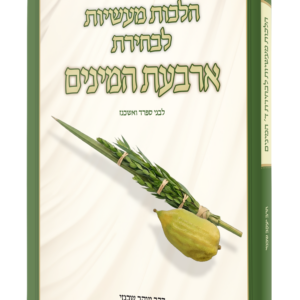 הלכות מעשיות לבחירת ארבעת המינים