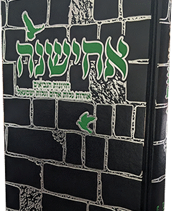 PXL-20240401-091130491