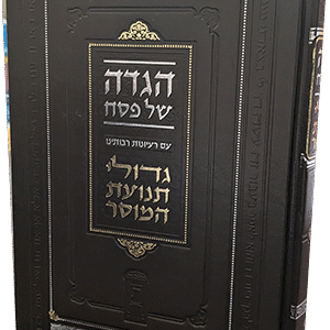 PXL-20240401-091205839