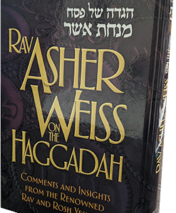 PXL-20240401-091418011