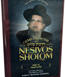 PXL-20240401-091429151