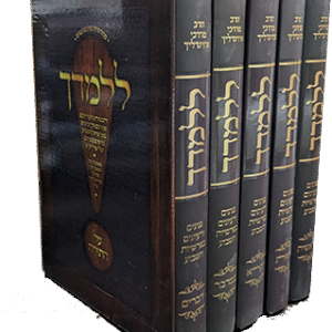 PXL-20240515-095651662-copy