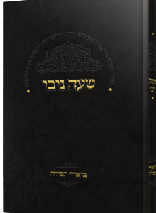 שעה ניבי - ביאורי תפילה