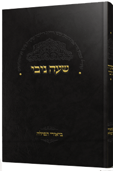 שעה ניבי - ביאורי תפילה