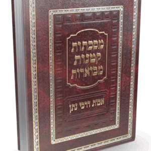 אבות-דרבי-נתן-הדמיה