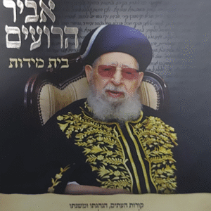 אביר-הרועים