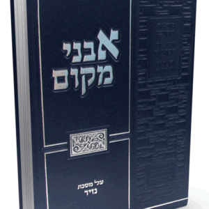 אבני-מקום-הדמיה