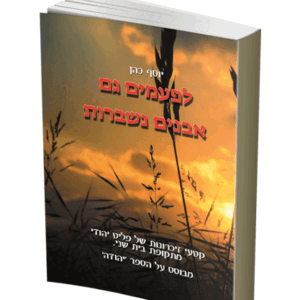 אבנים-נשברות-הדמיה