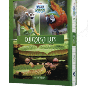 אגן-האמזונס