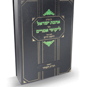 אהבת-ישראל-הדמיה