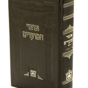 אוצר-המועדים-הדמיה