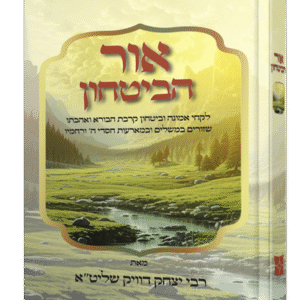 אור-הביטחון-1