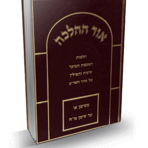 אור-ההלכה-השכמת-ב-הדמיה