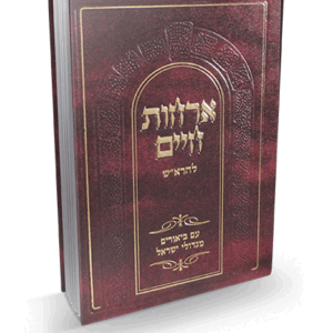 אורחות-לראש-הדמיה