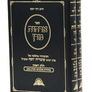 אורחות-מרן-הדמיה