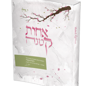 אחות-קטנה-הדמיה