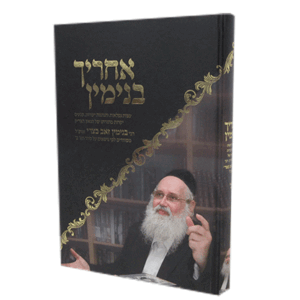 אחריך-בנימין-הדמיה