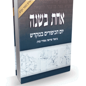 אחת-לשנה-הדמיה