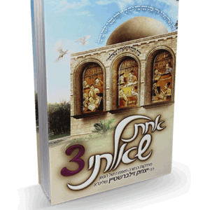 אחת-שאלתי-3-הדמיה