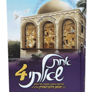 אחת-שאלתי-4-הדמיה