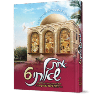 אחת-שאלתי-6-הדמיה