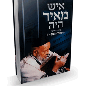 איש-מאיר-הדמיה