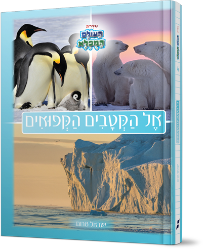 אל הקטבים הקפואים