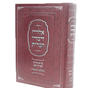 אלה-דברי-הדמיה