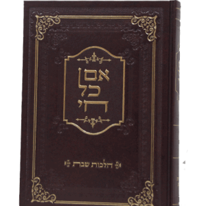 אם-כל-חי-שבת-הדמיה