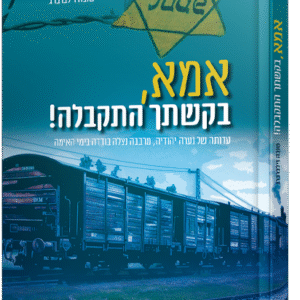 אמא-בקשתך-התקלה-בהדמיה