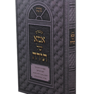 אמא-של-תורה-copy