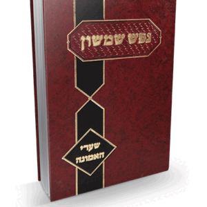 אמונה-הדמיה