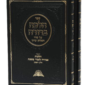 אמירה-לגוי-הדמיה