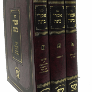 אמרי-בינה-1-scaled