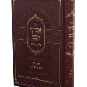 אפיקי-ים-copy