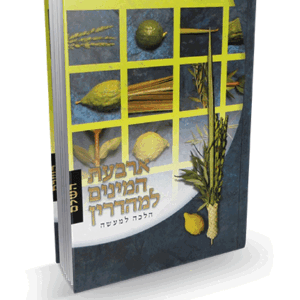 ארבעת-מבצע-הדמיה