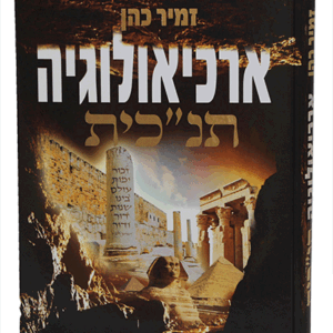 ארכיאולוגיה-הדמיה