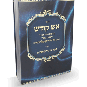 אש-קודש-קוטלר-הדמיה