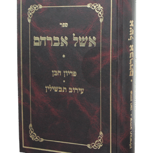 אשל-אברהם-2