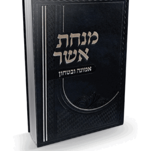 אשר-אמונה-הדמיה