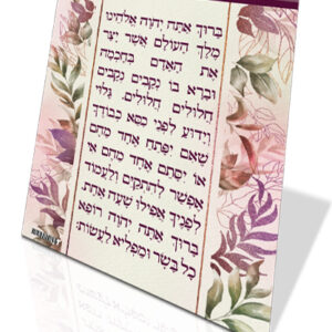 אשר-יצר-אשכנז