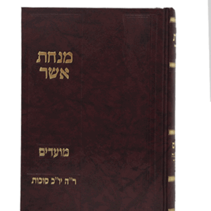 אשר-מועדים-הדמיה